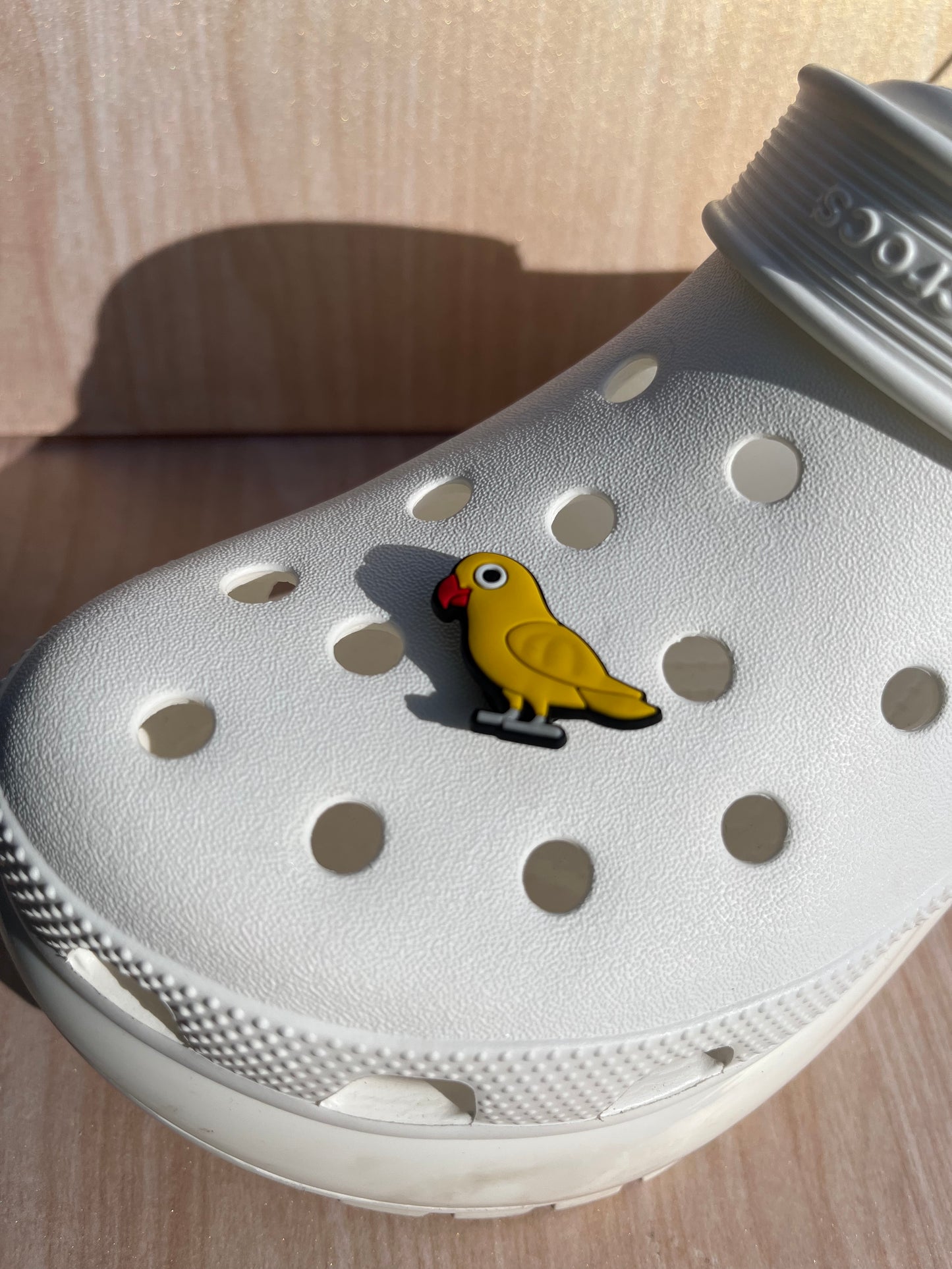 Bird Shoe Charm