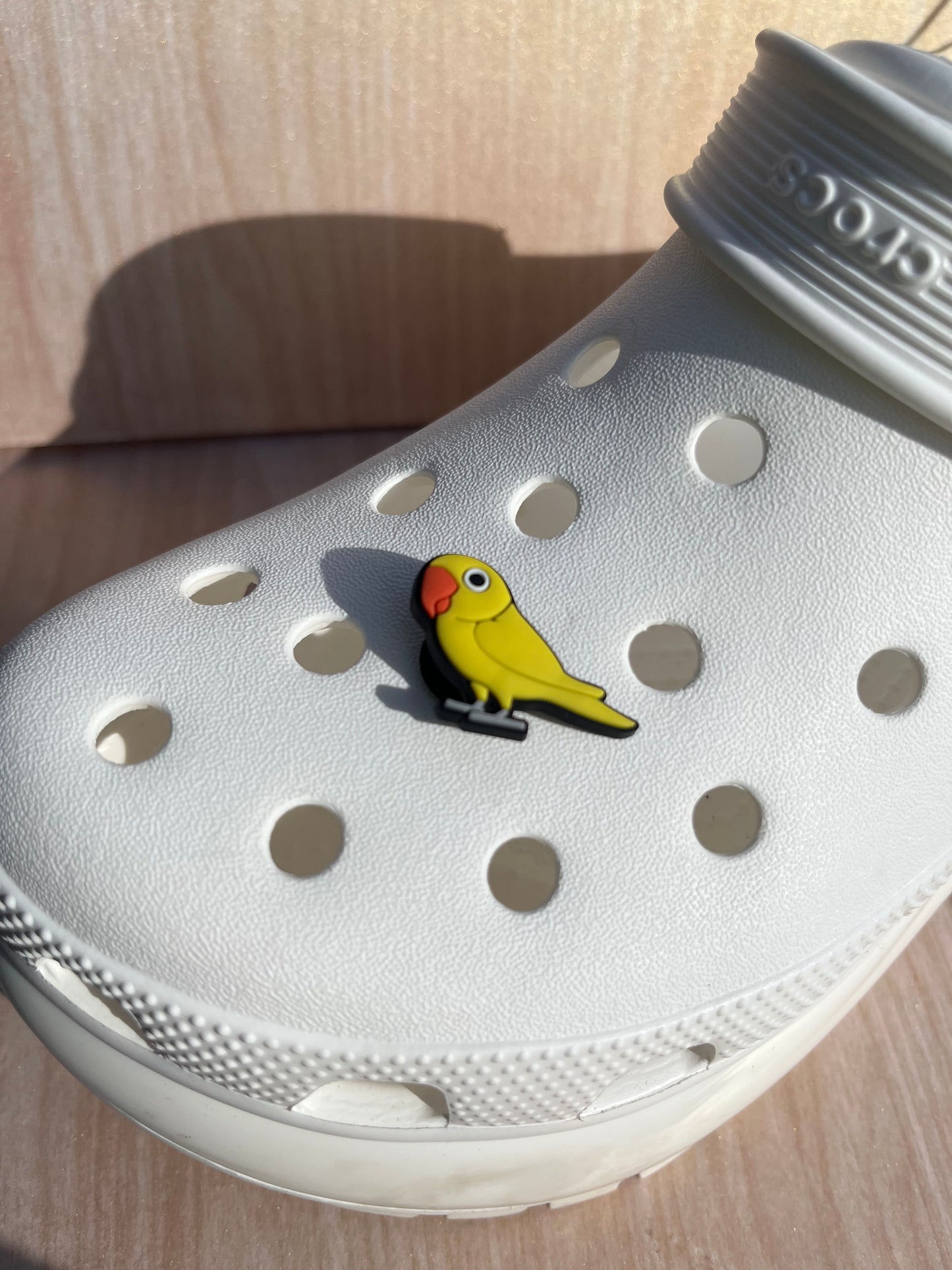 Bird Shoe Charm