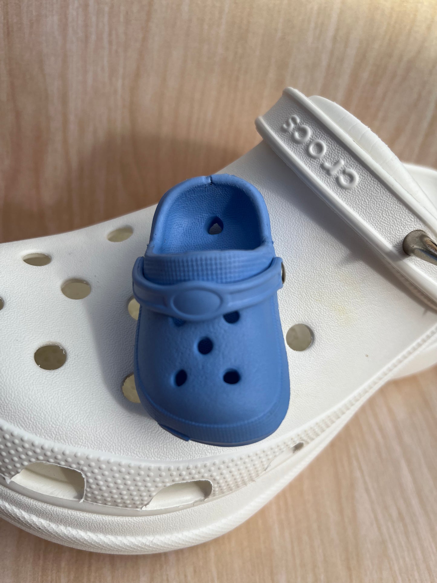 Mini Croc Shoe Charm